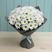 Букет цветов из:  Хризантемы #REPLACE_PRED# Чухломе